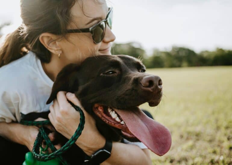 best pet websites