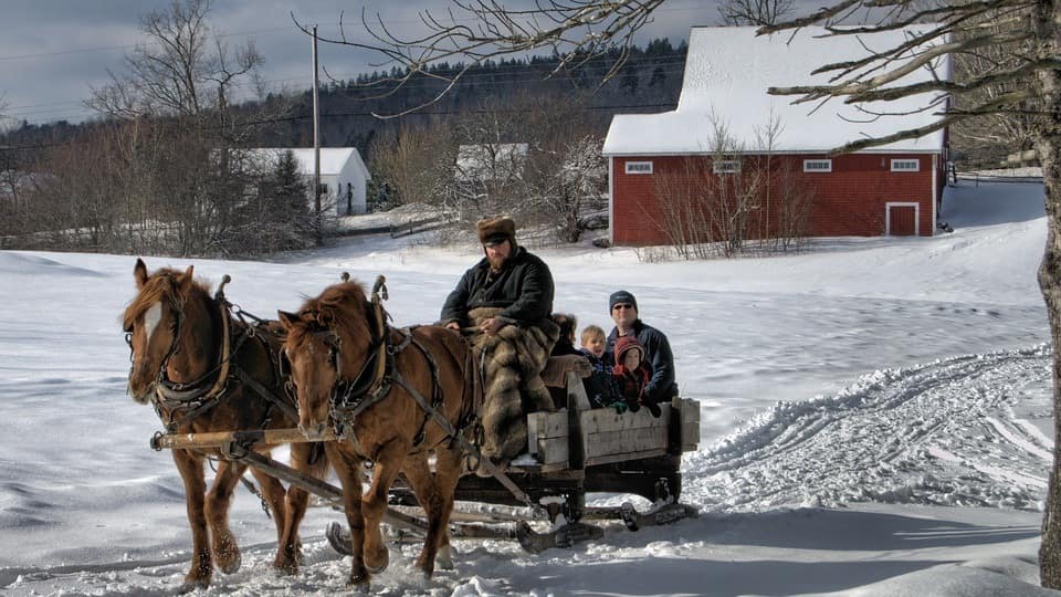 Fun Winter Activities