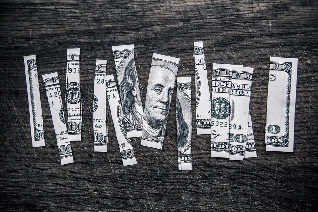 The image displays a dollar bill choped