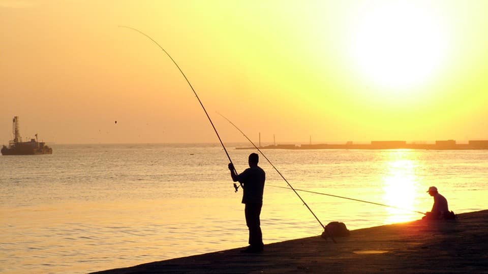 Live a life of passion