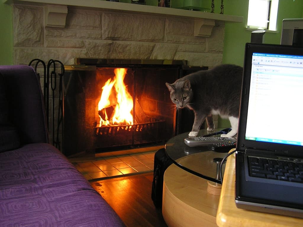 working from home