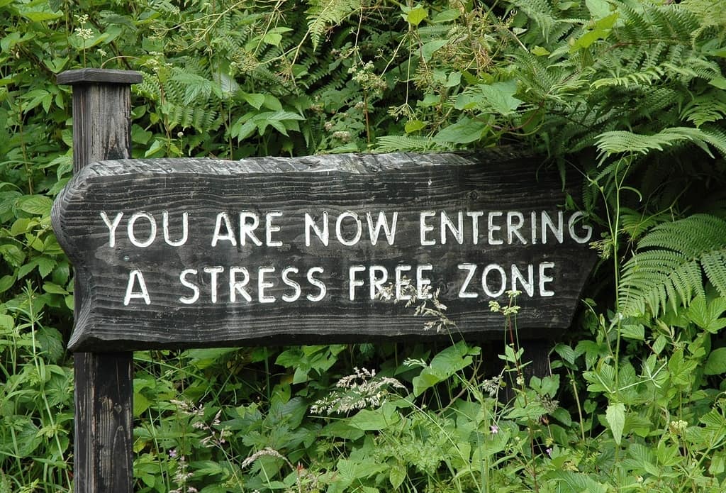 Things to avoid when you're stressed out