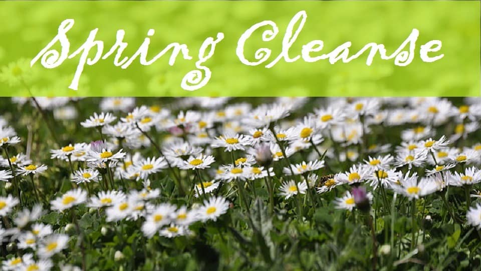image representing authentic spring cleanse with shilajit