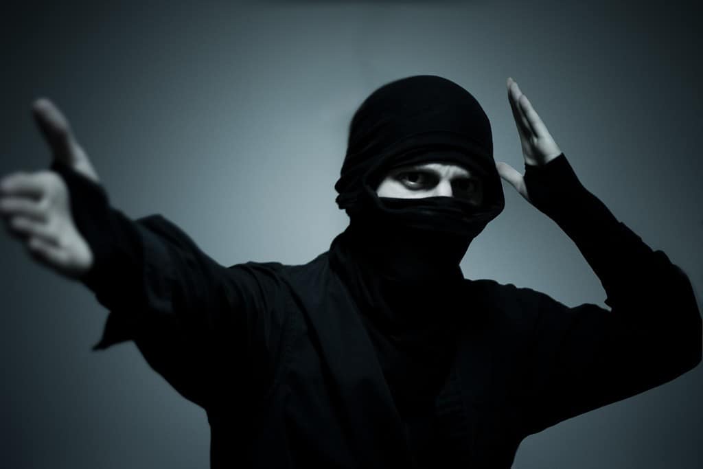 Ninja The Last Thing You See by Joey Gannon