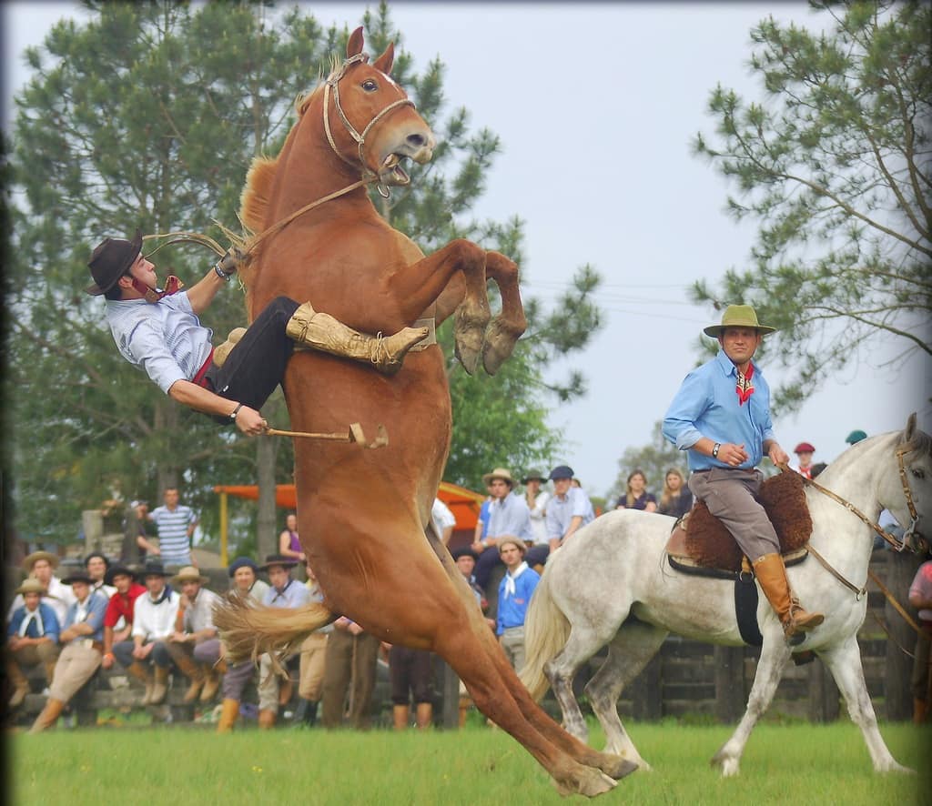 Sometimes dreams can make you fall. Hold on or let go.