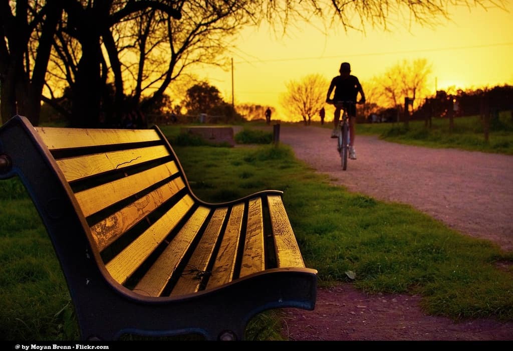 Visit a park