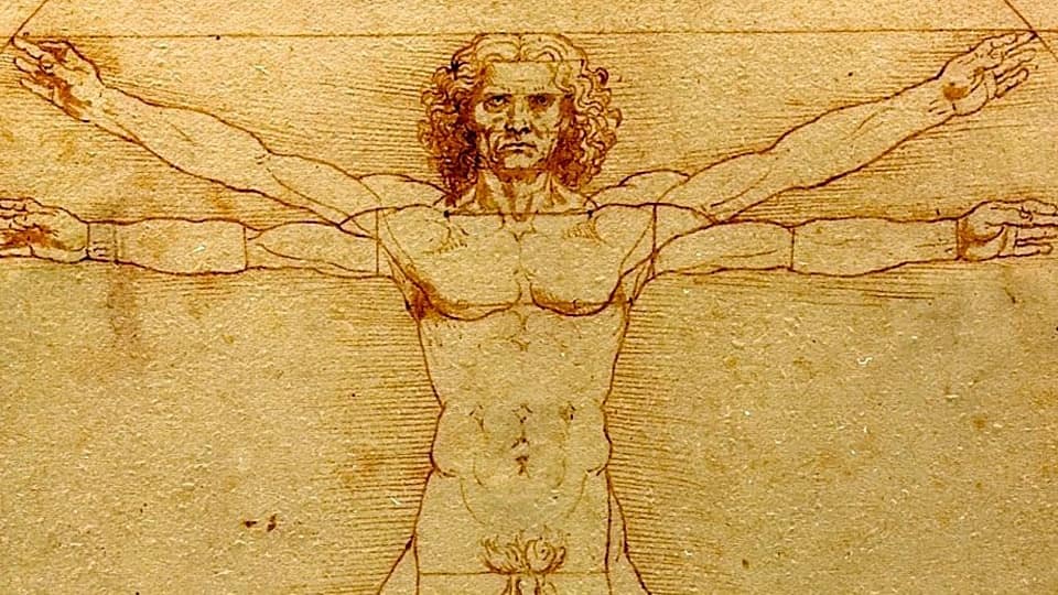 quick learners like da Vinci