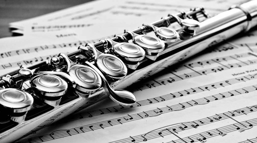 learning a musical instrument makes you a well-rounded person