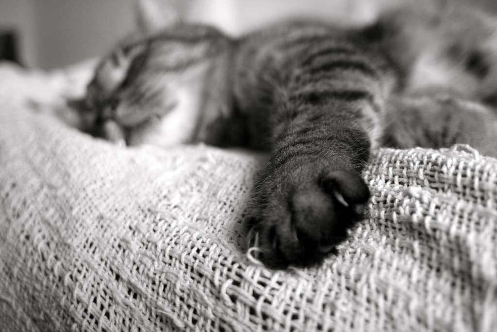 Fall Asleep Quicker