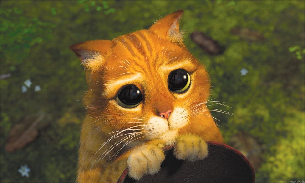 Will you like me?