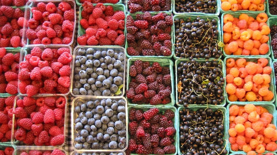 benefits of berries