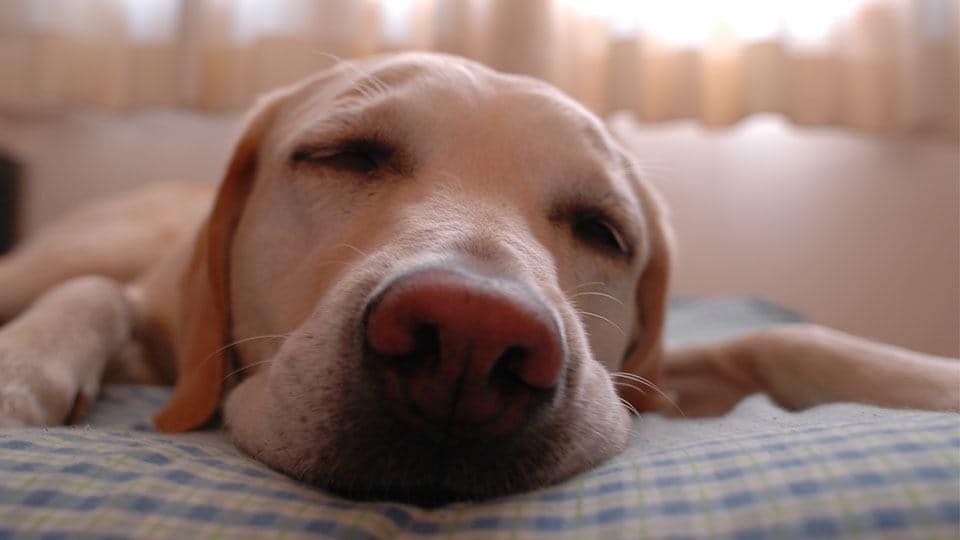 fall asleep faster