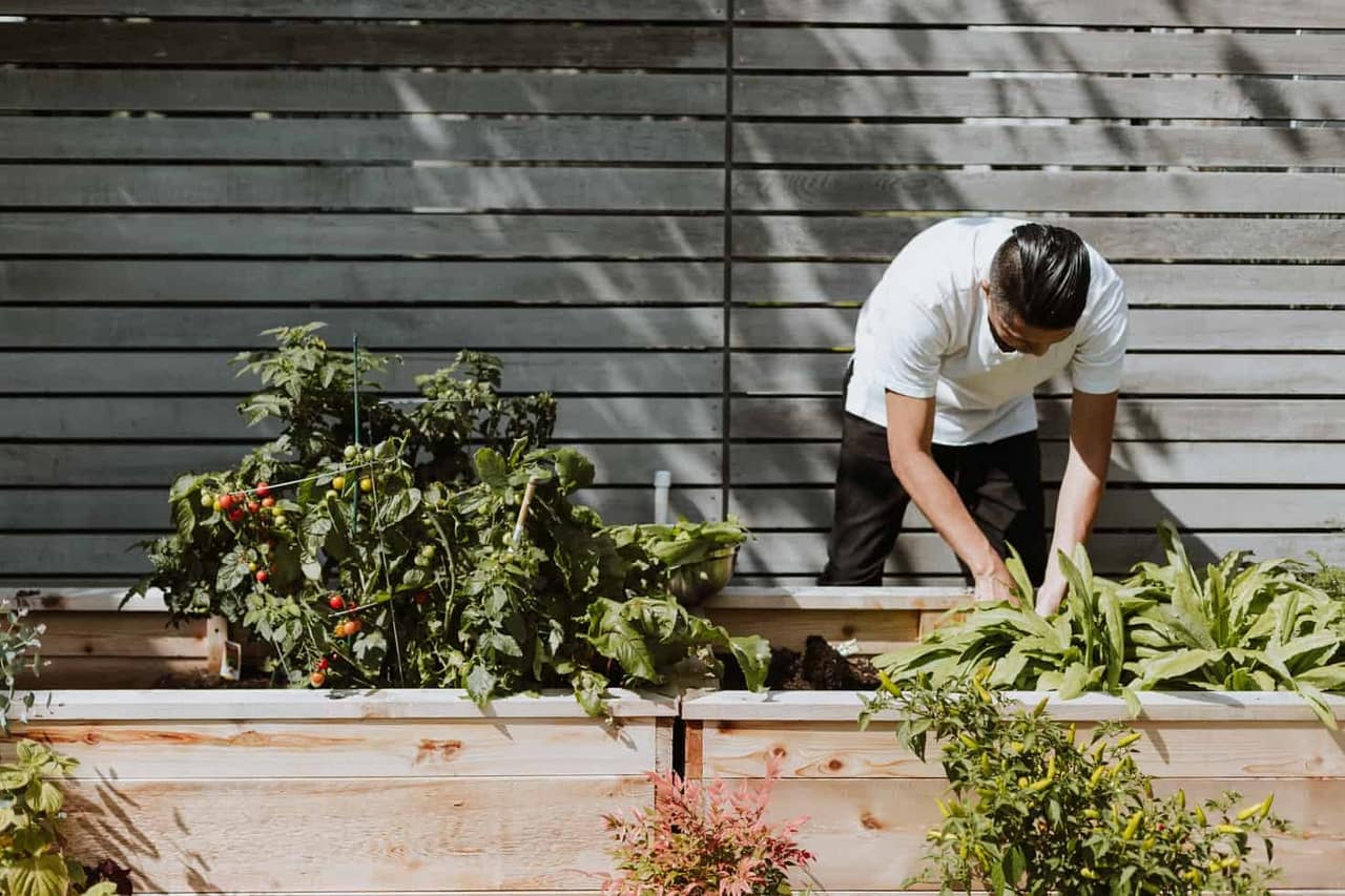 outdoor DIY projects