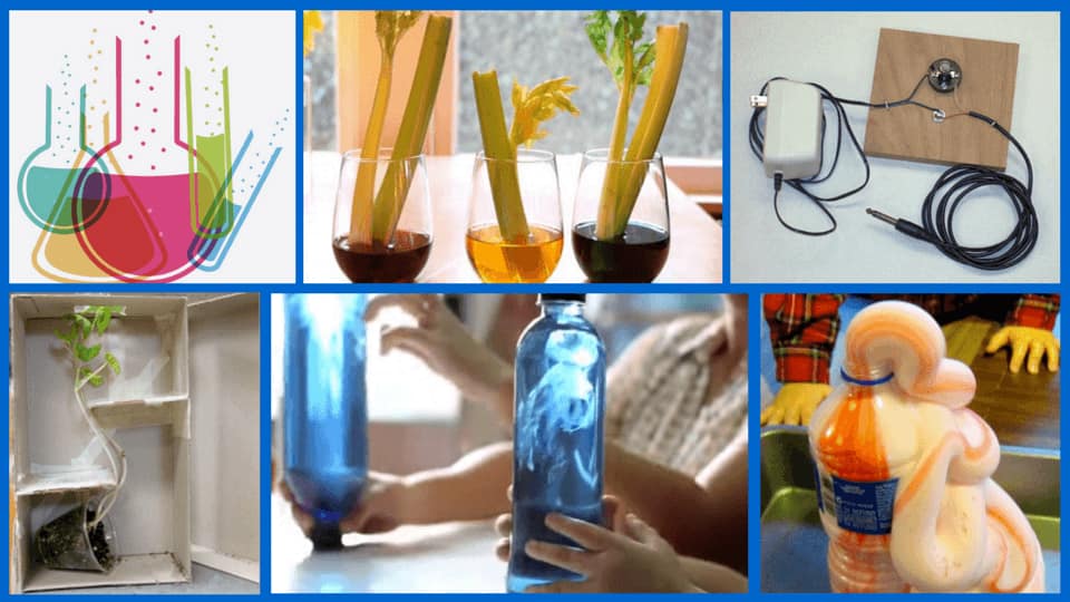 science projects for kids