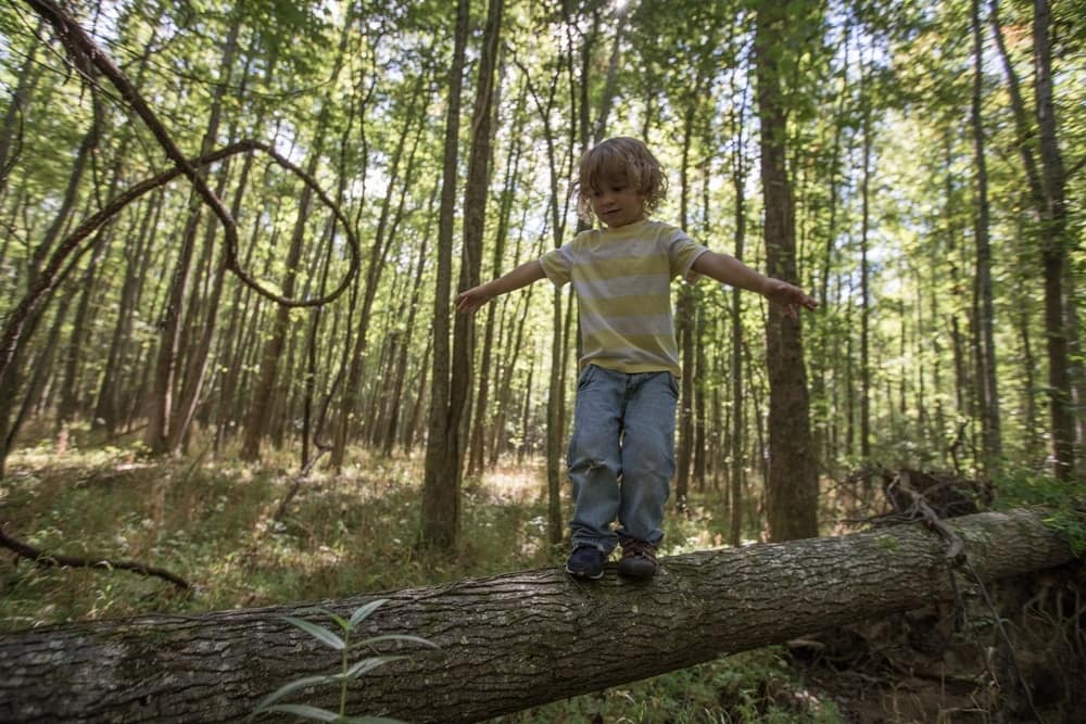 Child balancing on log