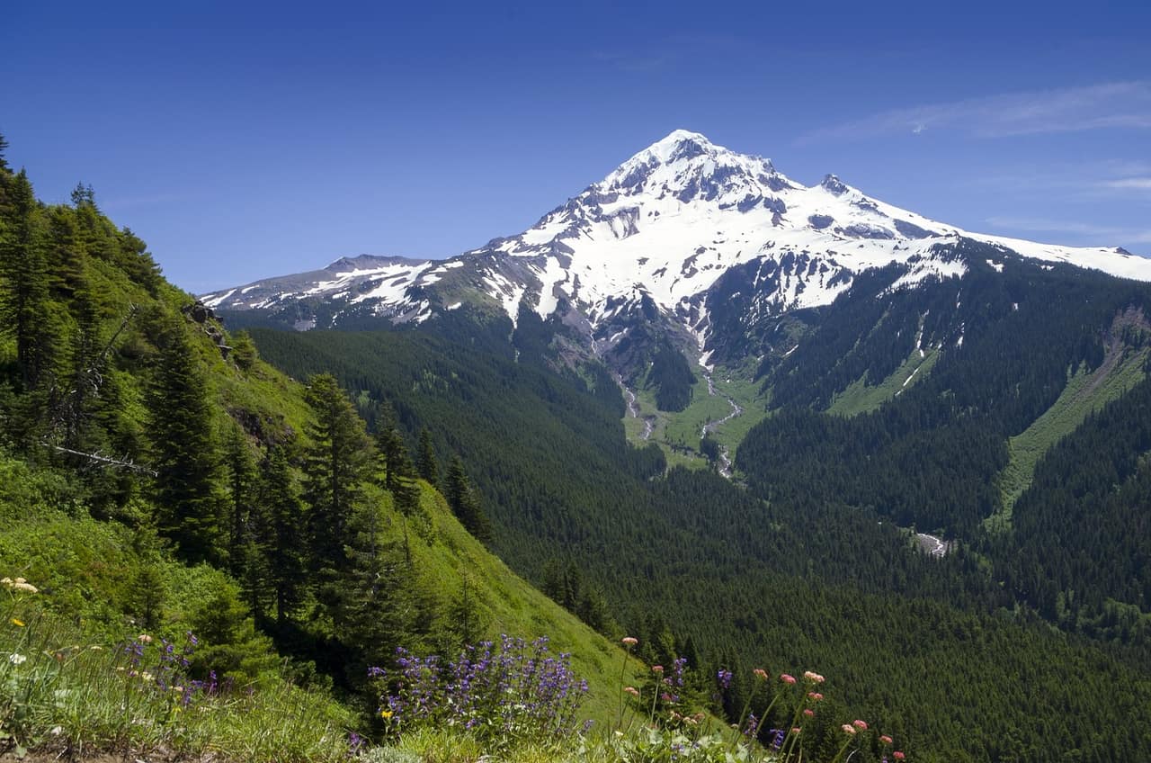 Mountain scene