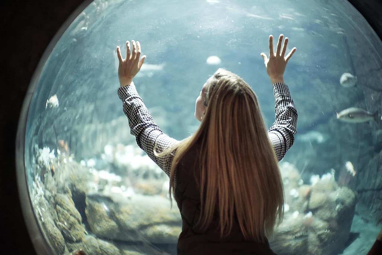 Monterey Bay Aquarium