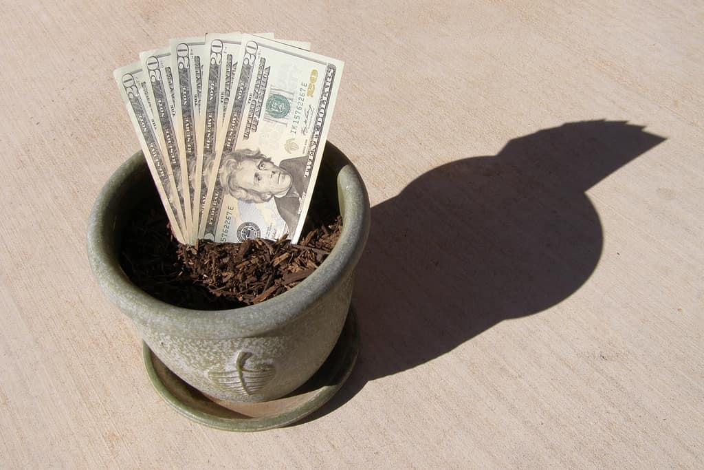 investment