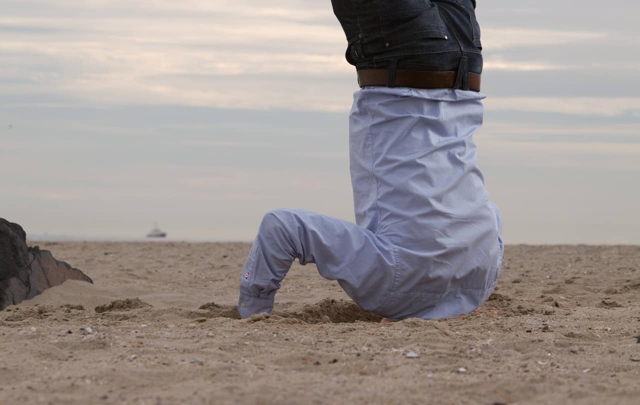Bury your head in the sand