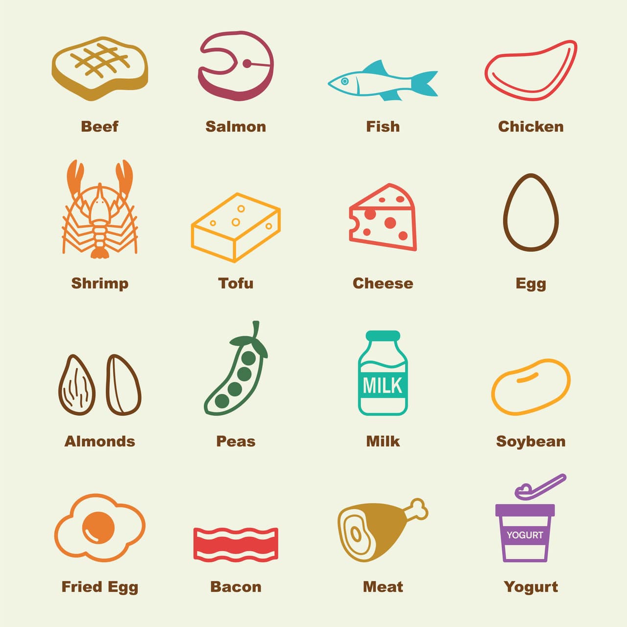 protein food elements, vector infographic icons