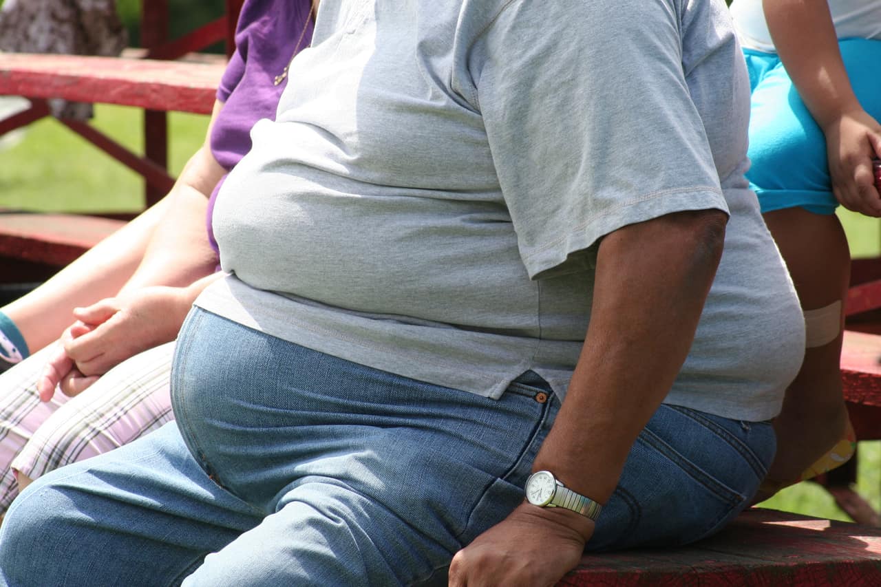 belly fat