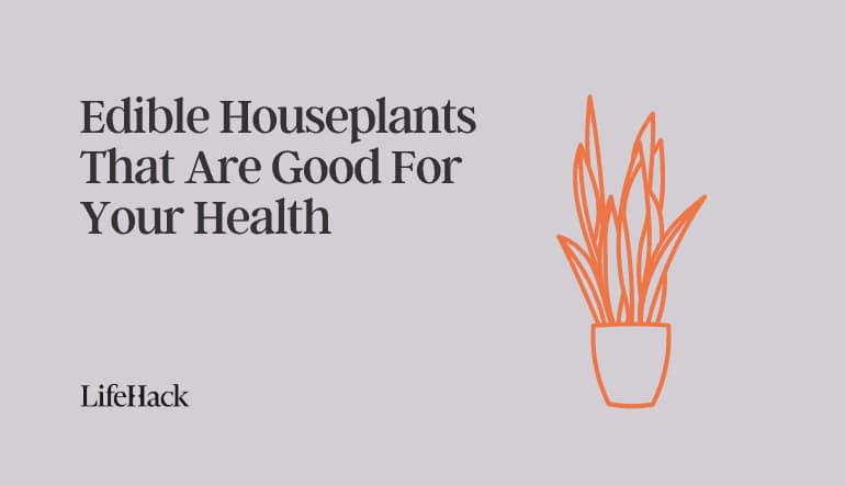 edible houseplants
