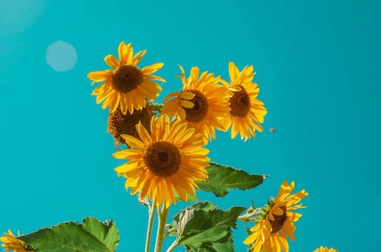 30 Thoughts to Keep You Positive
