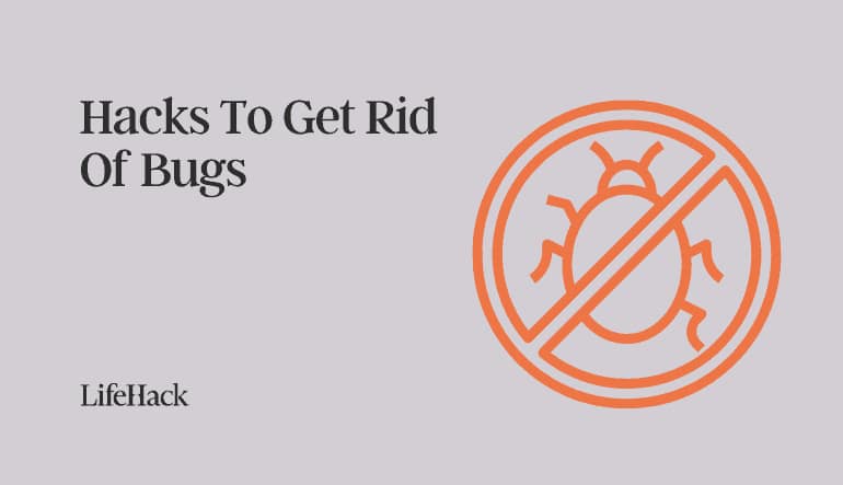 hacks to get rid of bugs