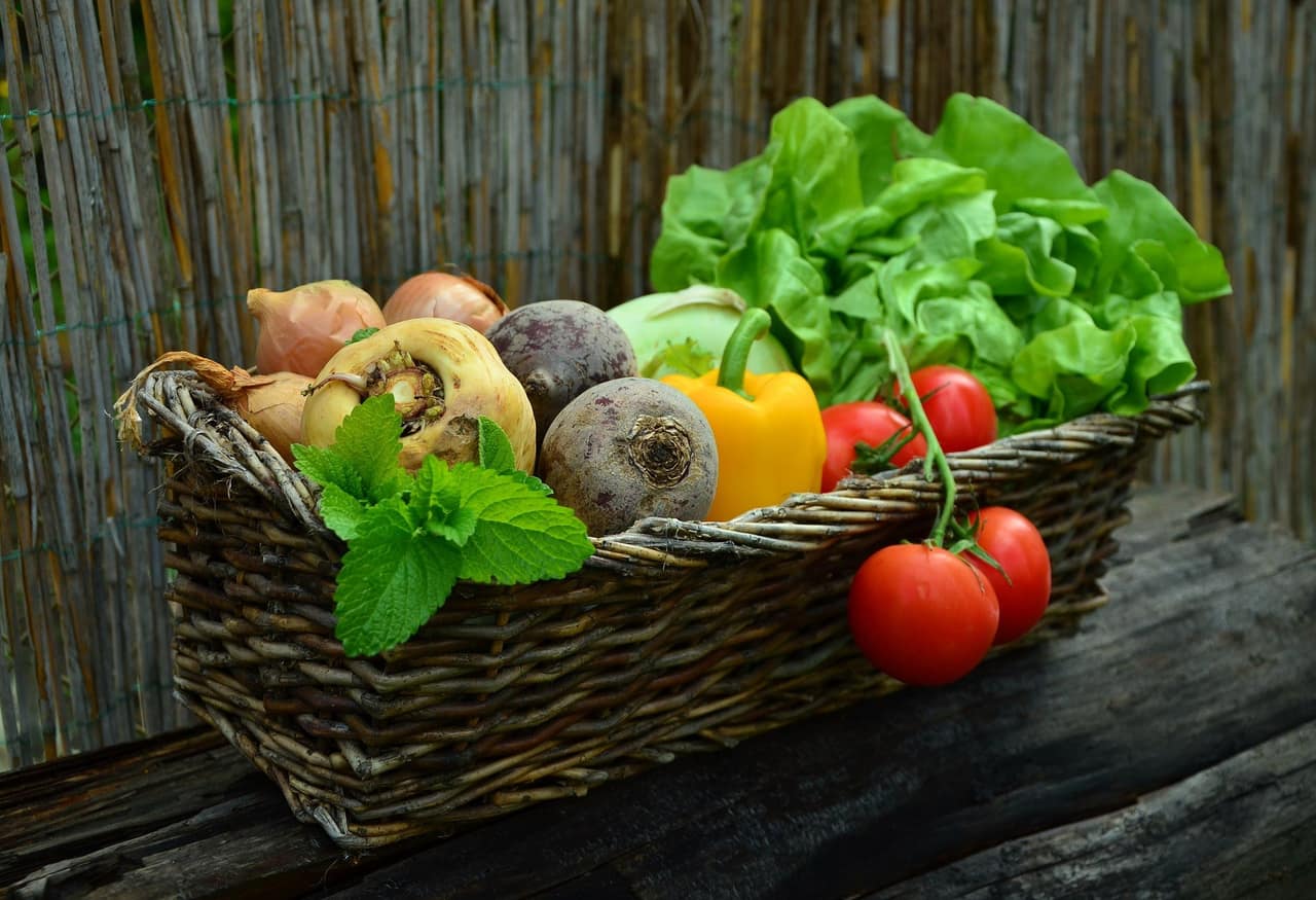 Healthy diet quotes