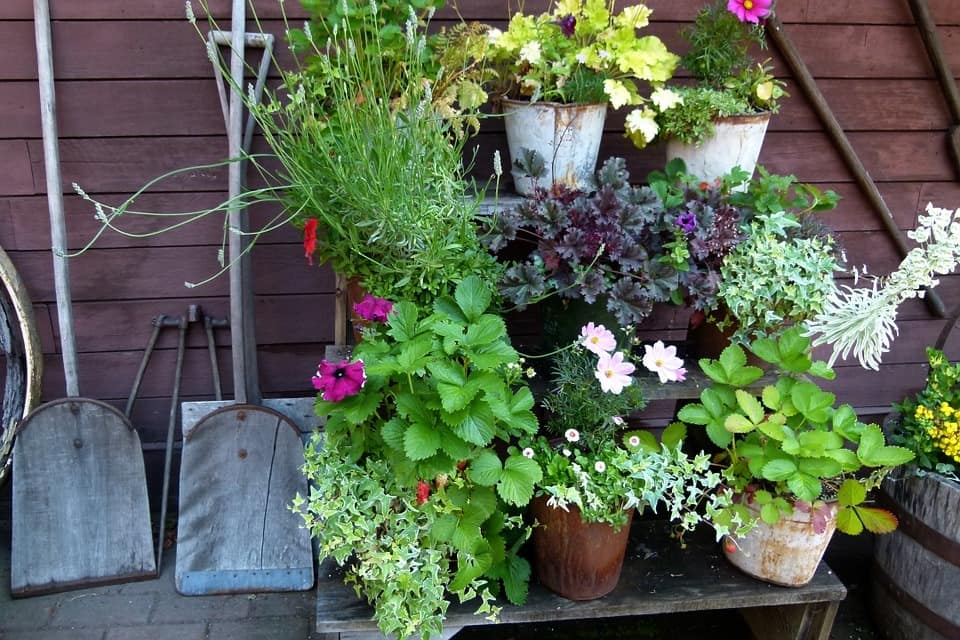 9 Tactics to Maximize Space in Your Backyard Garden