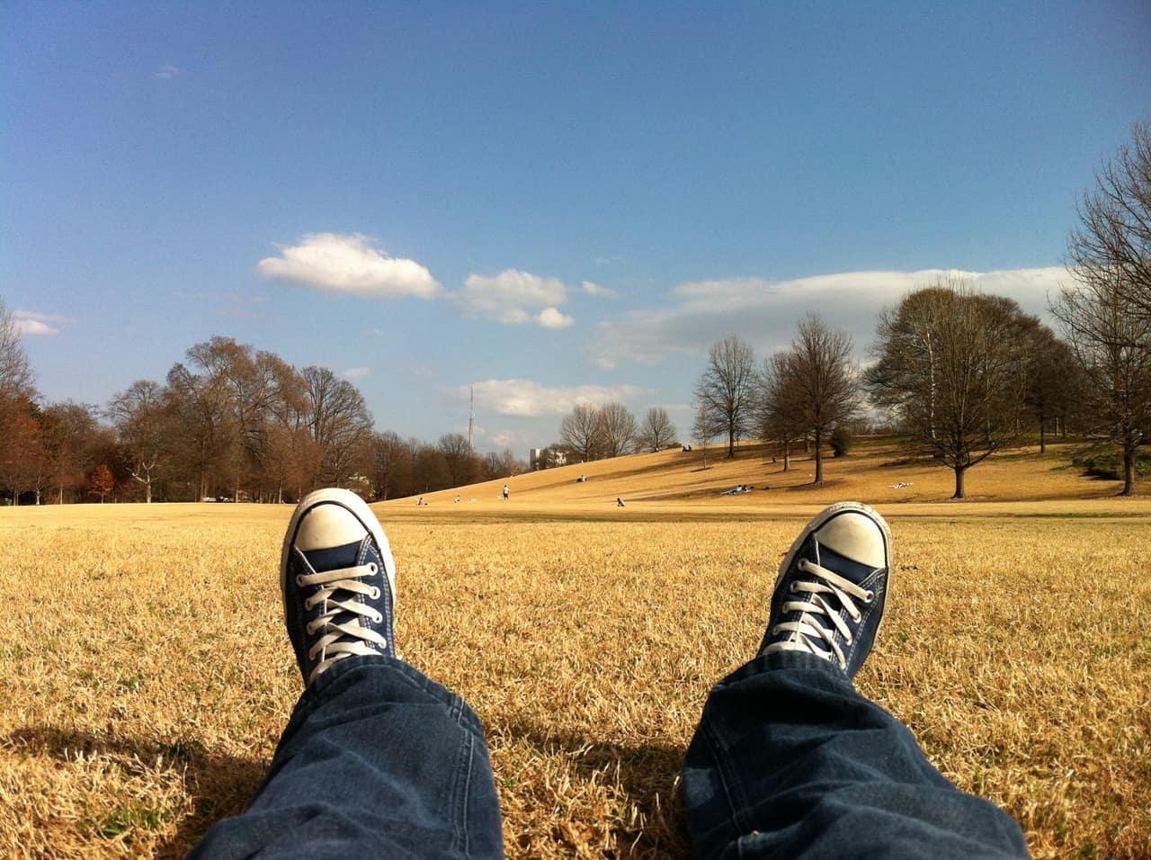 Fun day at the park