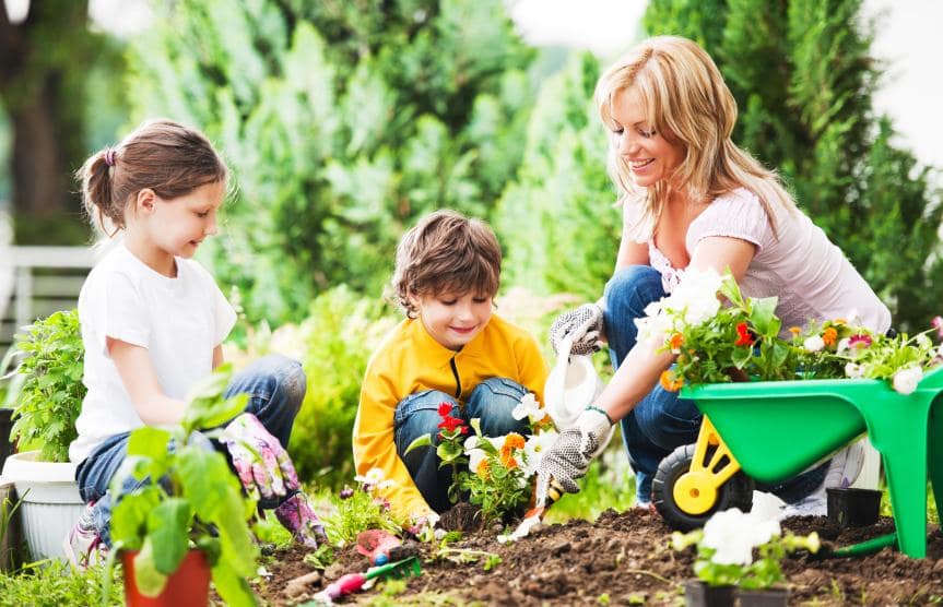 Happy mother with her children gardening. 

[url=http://www.istockphoto.com/search/lightbox/9786778][img]http://dl.dropbox.com/u/40117171/family.jpg[/img][/url]

[url=http://www.istockphoto.com/search/lightbox/9786750][img]http://dl.dropbox.com/u/40117171/summer.jpg[/img][/url]