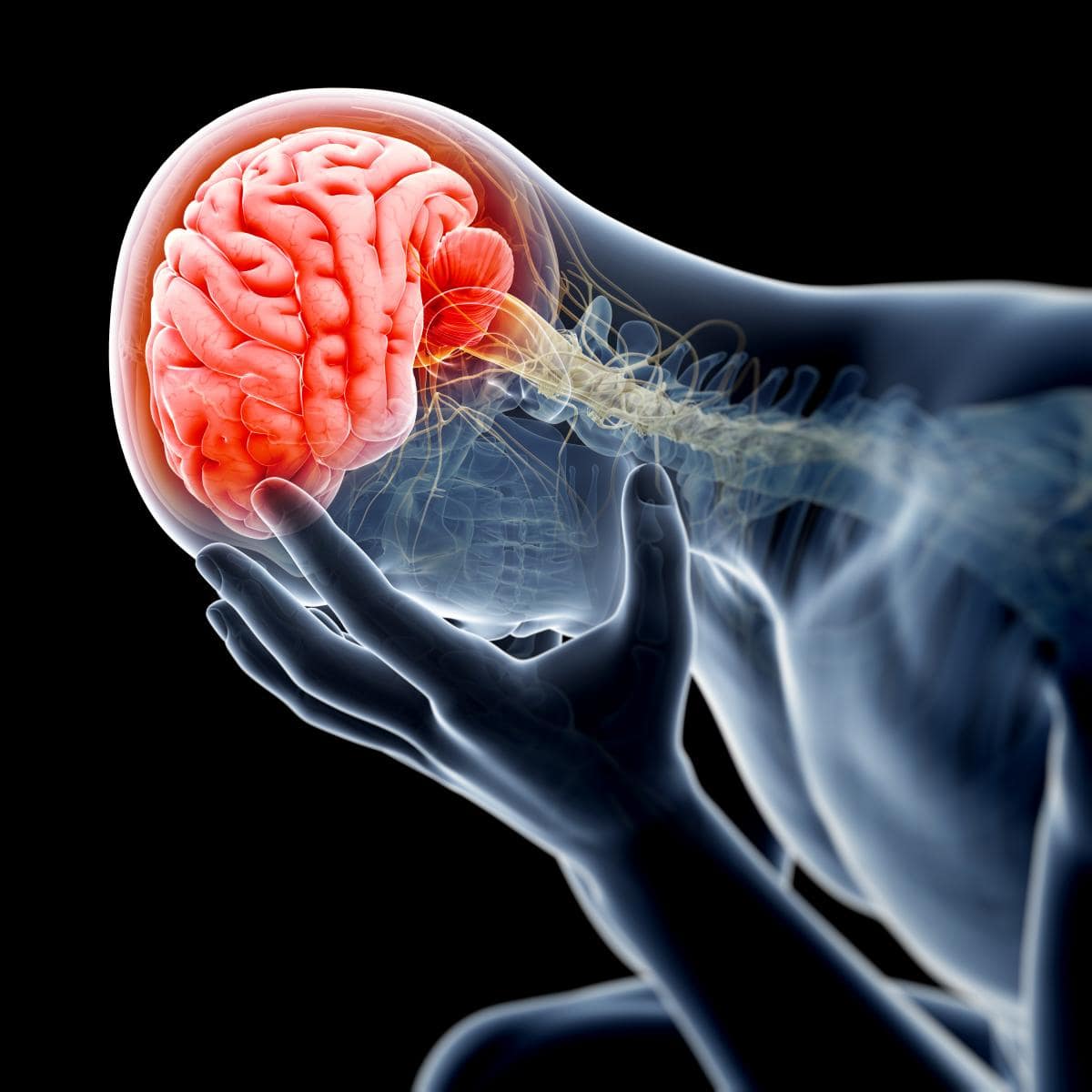X-ray view of animated head pain