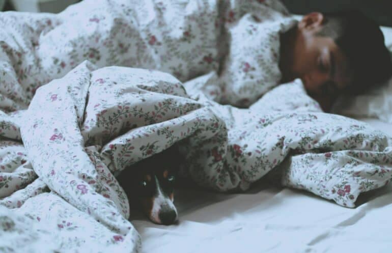 best blankets