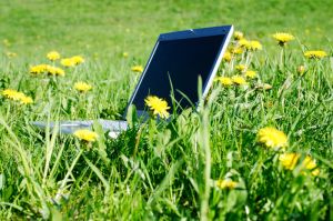 Laptop on Grass