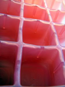 How Ice Cube Trays Will Save You Money