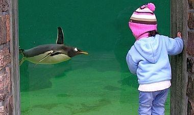 Kids and Penguins Go Great Together