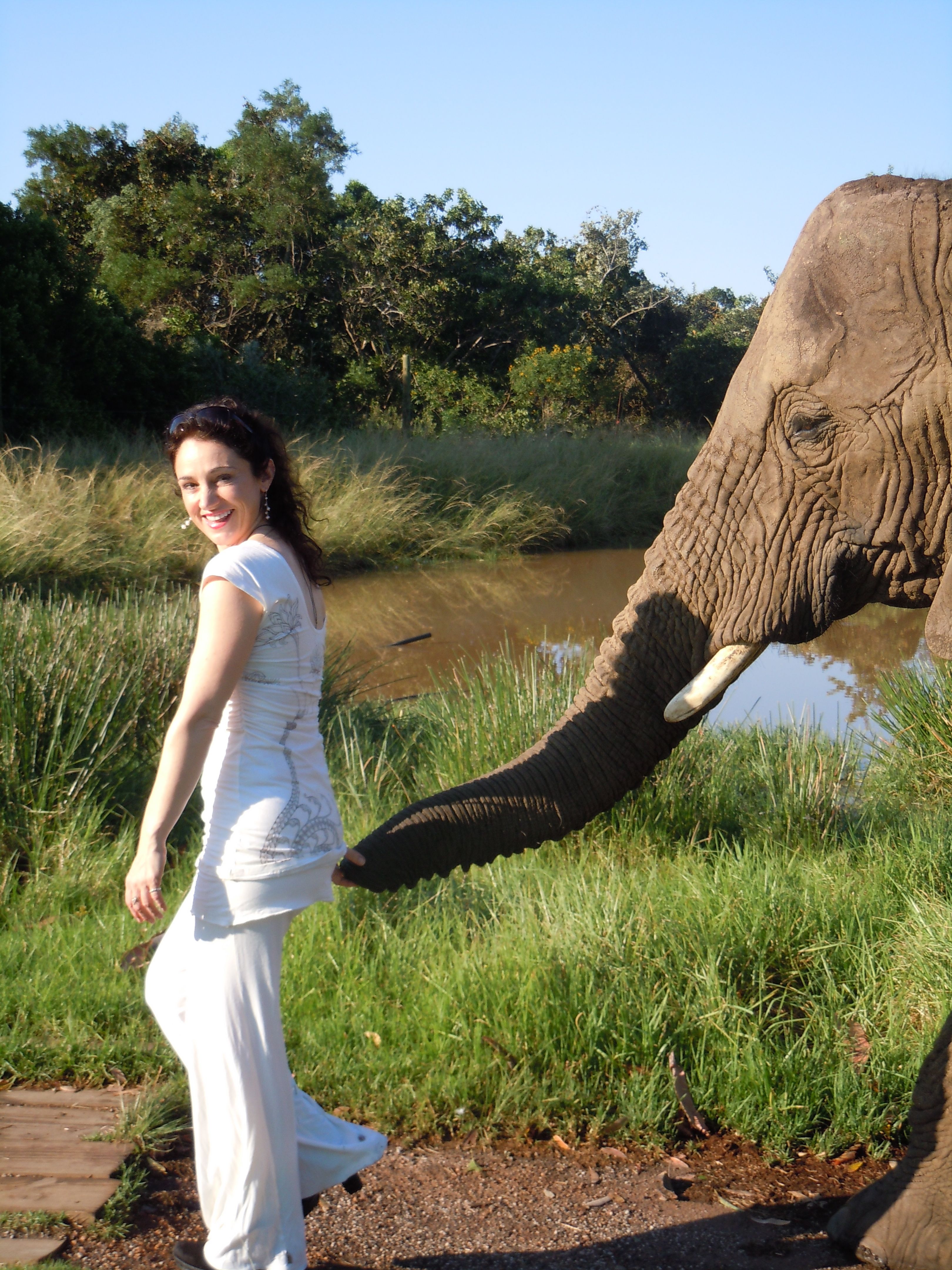 Naming Elephants: 10 Ways To Use Radical Honesty to Improve Your Relationship