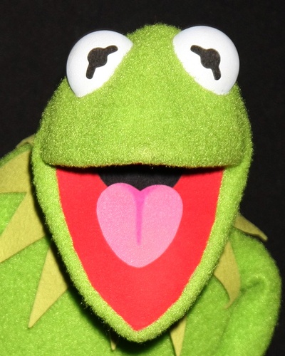 5 Life Lessons Taught By The Muppets