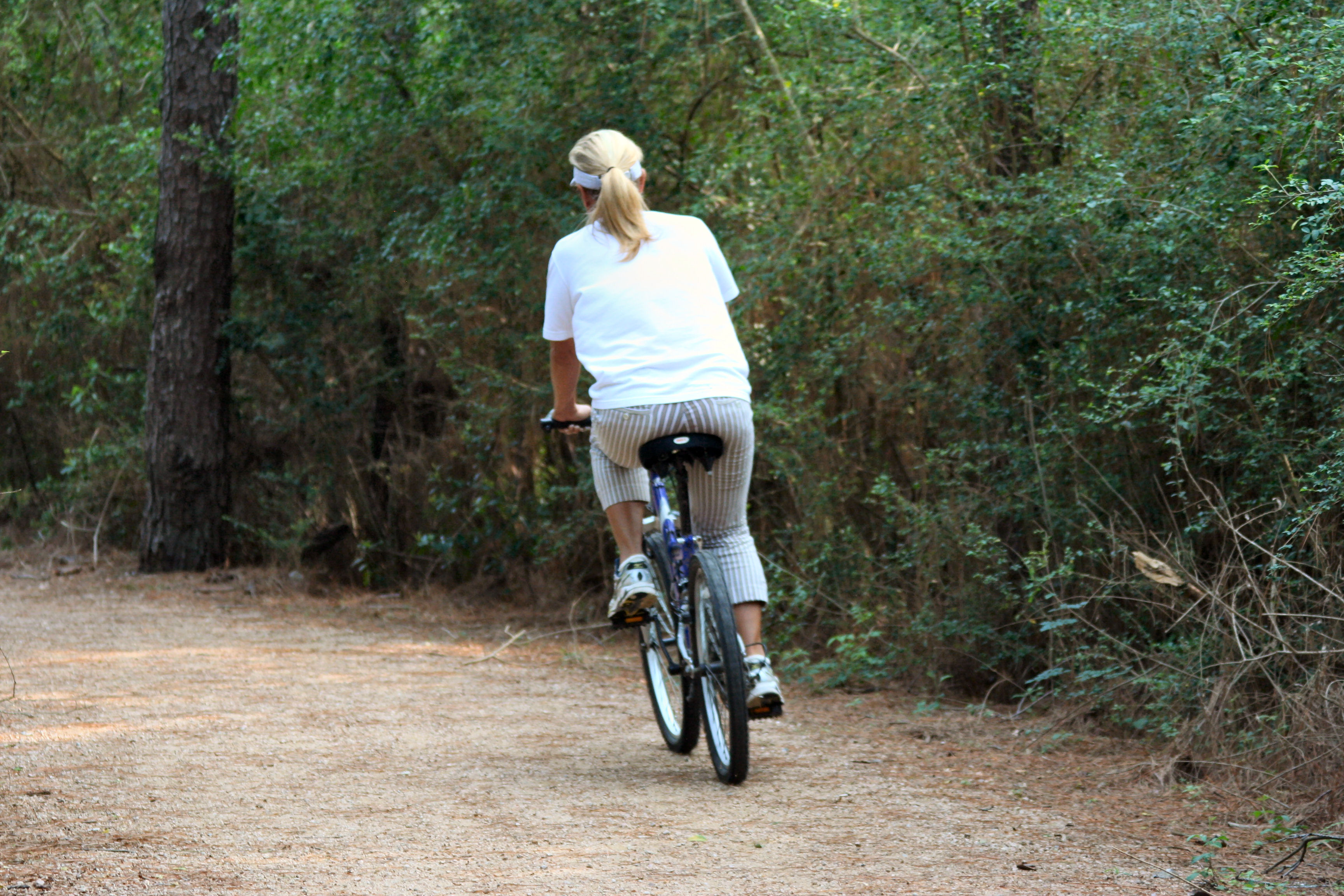 Find time for exercise - Biking through the woods