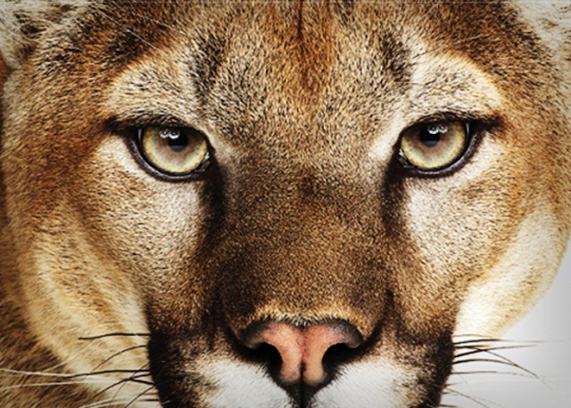 Level Up OS X With These 8 Mountain Lion Tips and Tricks