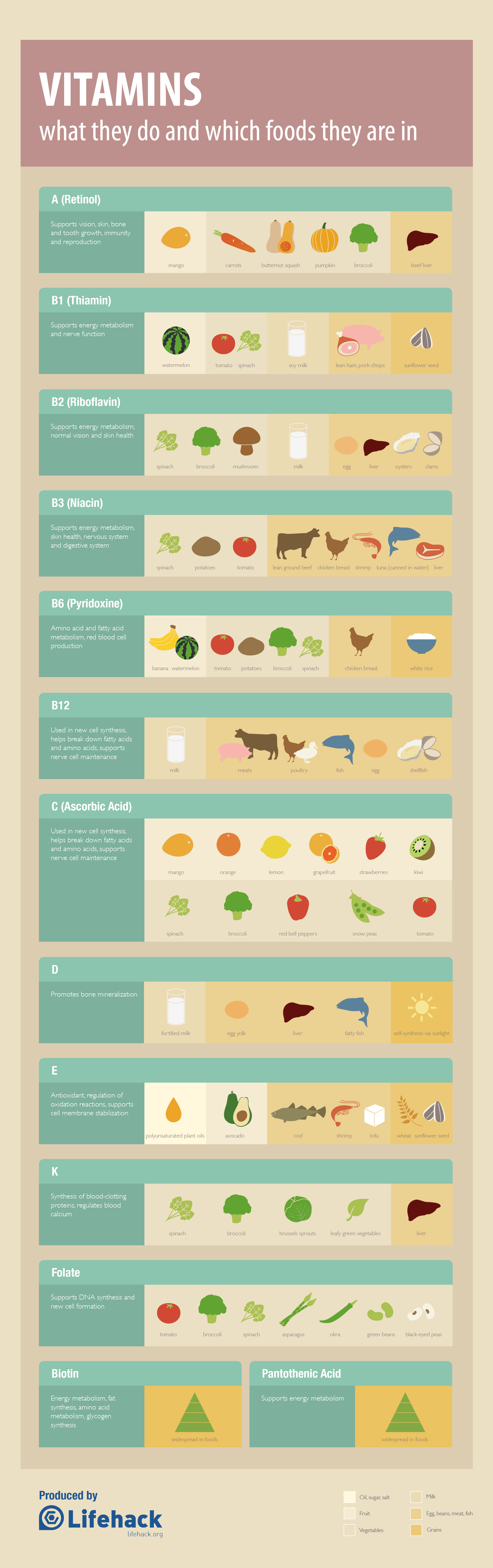 Vitamins Cheat Sheet: What They Do and Good Food Sources [Infographic]