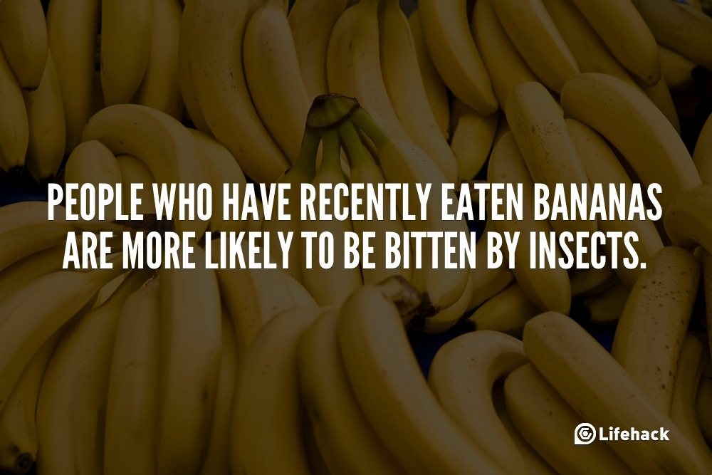 30s Tip: People Who Have Recently Eaten Bananas&#8230;
