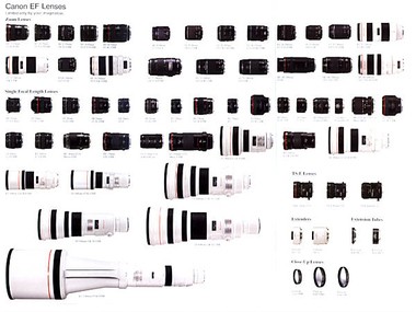 ALL lenses