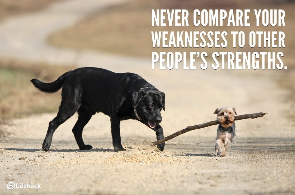 Never compare your weaknesses to other peoples strengths.