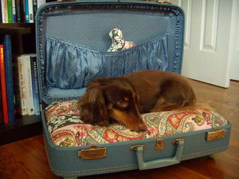 Lit pour chien valise