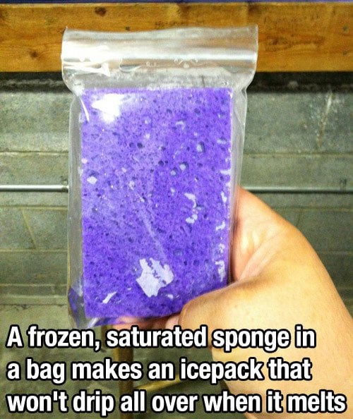 a frozen saturated sponge in a bag