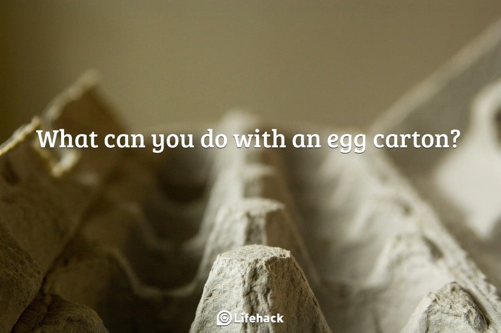 10 Amazing Uses for Carboard Egg Containers You Have Never Thought About