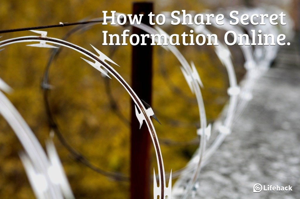 How to Share Sensitive Information Over the Web