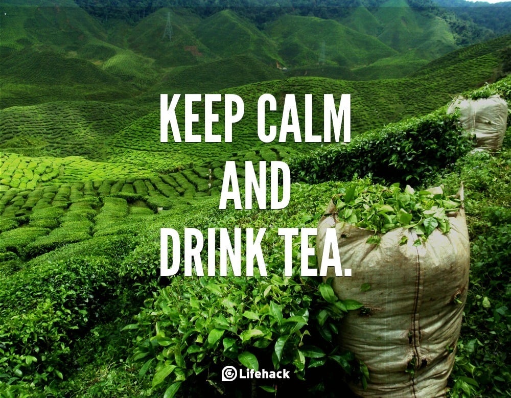 Want the Best Tea? Go Straight to the Source